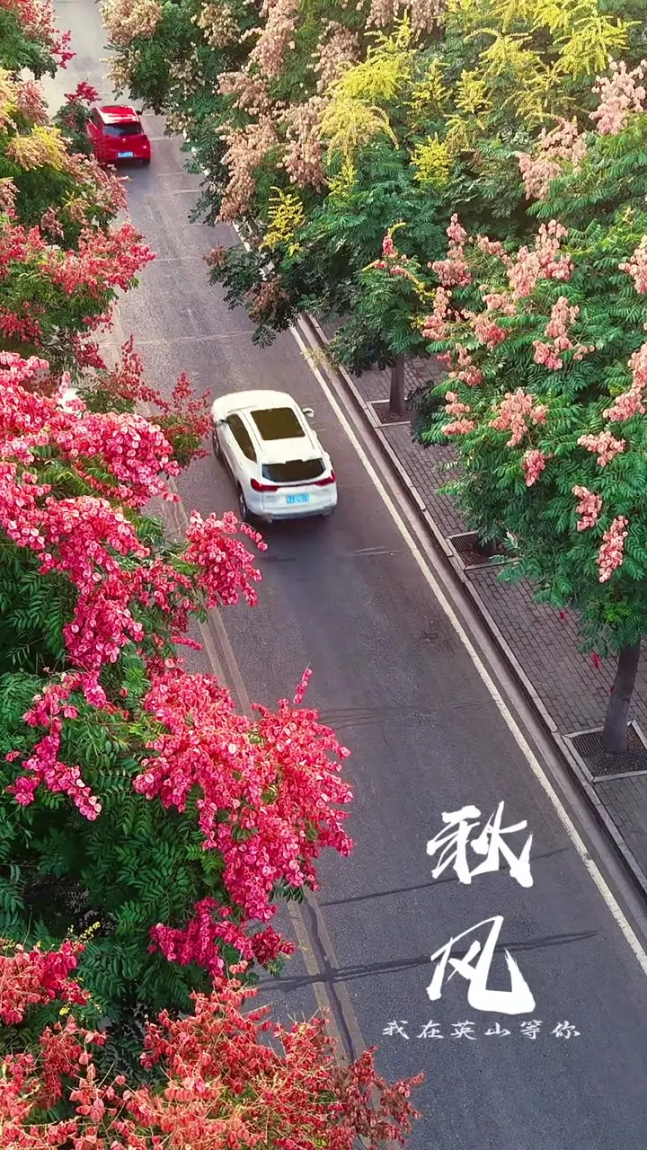 桃花冲十里桃花溪